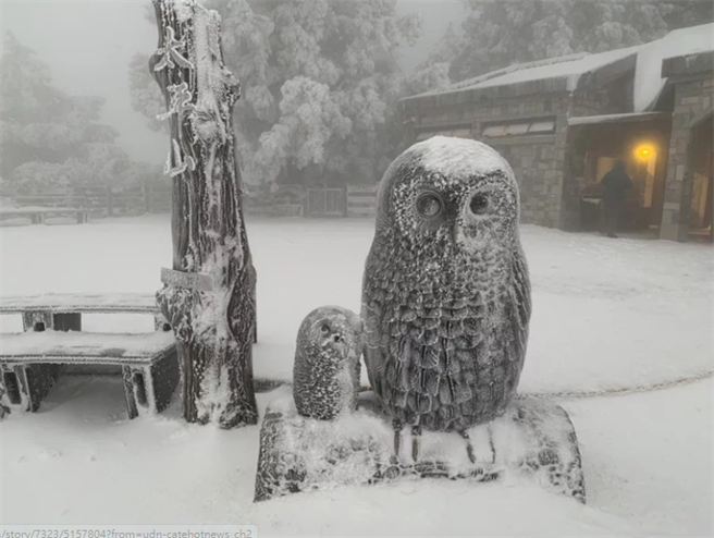 太平山積雪達15公分，今午禁止入園。（羅東林管處提供）
