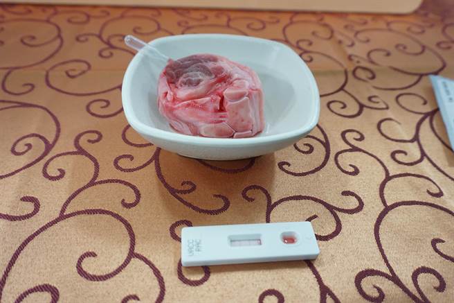 食品藥物安全處人員使用快篩試劑檢測月子餐肉品，結果顯示「無萊劑」。（王文吉攝）