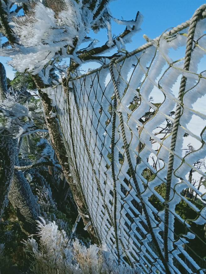 寒流来袭，百岳之一的北大武山出现了「雾淞」美景。（屏东林管处提供／潘建志屏东传真）