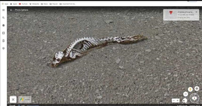 Google地球上的神秘骸骨。（图／翻摄自Google地球）