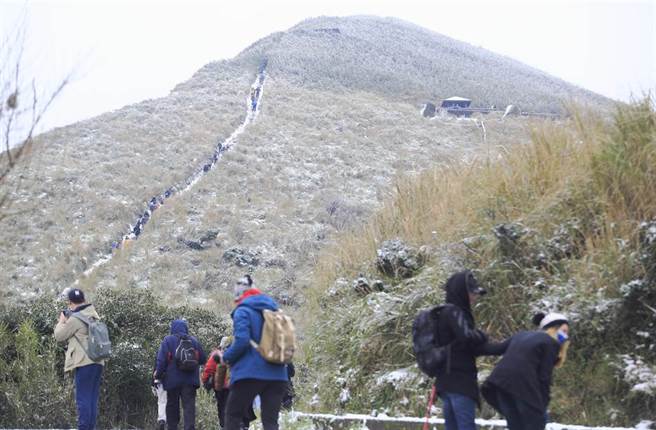 全台急冻，大台北地区大屯山的登山步道上覆盖着银白色的瑞雪。（张铠乙摄）