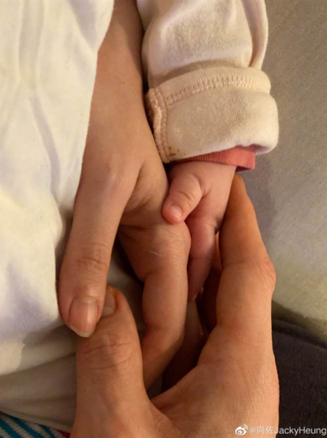 照片中除了他和郭碧婷戴着口罩脸贴脸的合照，还有一张是一家三口手交迭在一起的画面，看起来格外温馨。(图/ 摘自向佐微博)