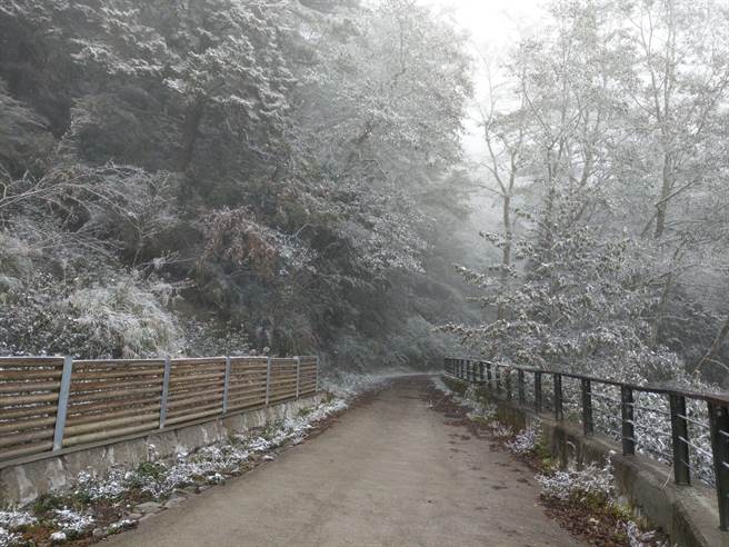 向陽森林遊樂區今天上午飄雪，持續不到1小時。（台東林管處提供）