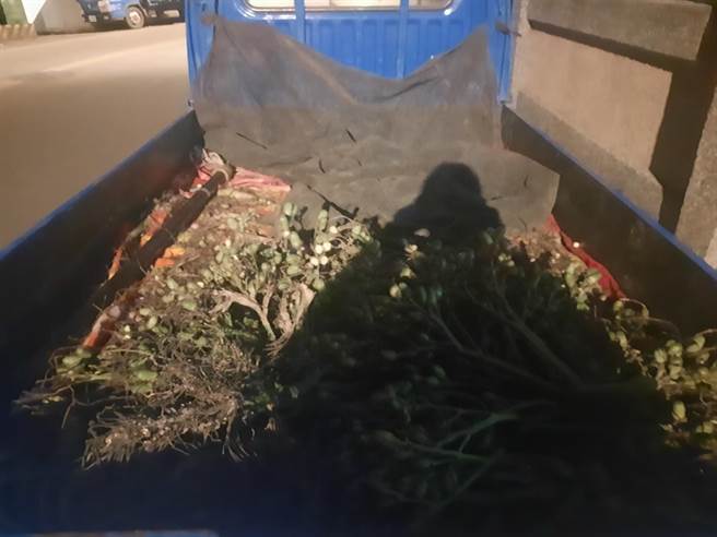 萧姓员警追捕窃贼猝死，警方5小时逮人，并在窃贼车上搜出不少槟榔子。（玉里警分局提供／王志伟花莲传真）