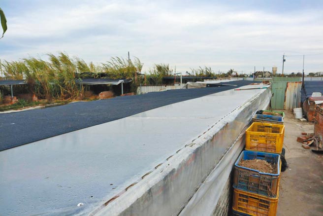 林建豪以透明塑膠布覆蓋鱷魚室內池，避免冷風灌入。（張毓翎攝）