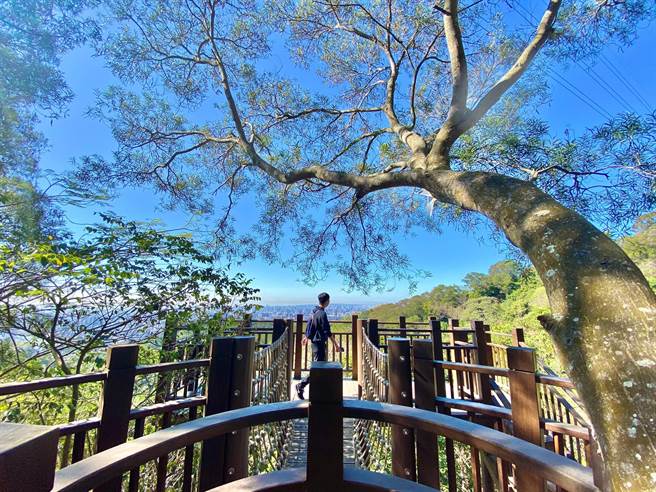 大坑10号步道终点平台一览。（台中市观旅局提供／王文吉台中传真）