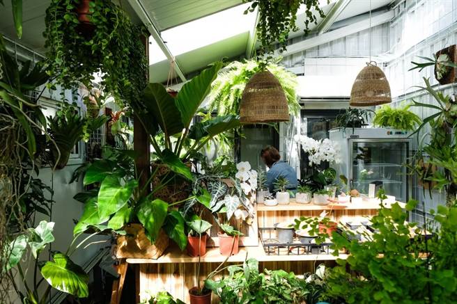 吃饱了就去隔壁小森林里玩花弄草。(图／行遍天下提供)