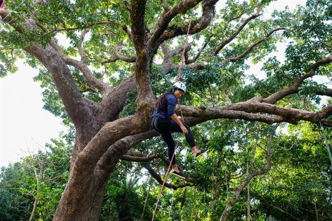 到垦丁社顶公园里的秘境攀树去，用不同高度来看海洋。(图／行遍天下提供)