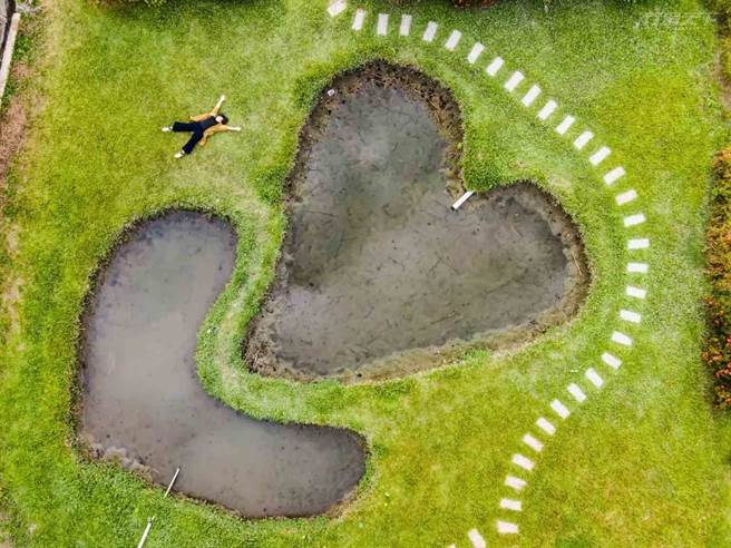 童心滿滿的雙心池塘草地鬆軟讓人忍不住一秒躺下來放鬆身心。（圖/網友提供）