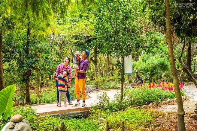 花樹銀行園區內處處充滿自然生態。(圖／行遍天下提供)