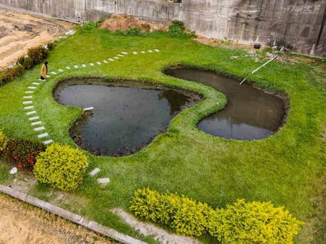想要去雙心池塘打卡，記得等蓮花季過後再去唷。（圖/網友提供）