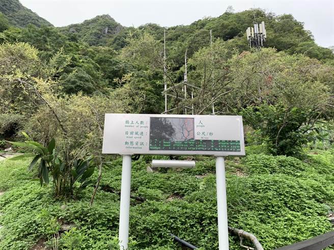 免預約排隊入場期間人數容量採該時段250人，並依據現場票亭紅外線計數，滿額時即控管，若有遊客離場，則會再放行進場額度。（羅亦晽攝）