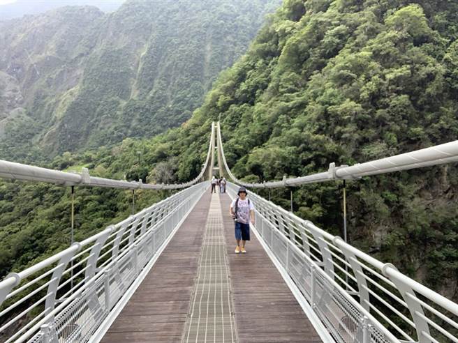 山月吊橋於2月13日至15日開放民眾免預約現場排隊入場。（羅亦晽攝）