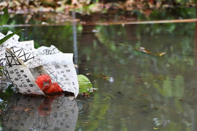 寒流接连来袭，屏东莲雾大量落果、损失惨重，行政院长苏贞昌虽承诺灾损补助从宽从速，但非根治办法，有农友认为从「莲雾保险」下手才是良策。（谢佳潾摄）