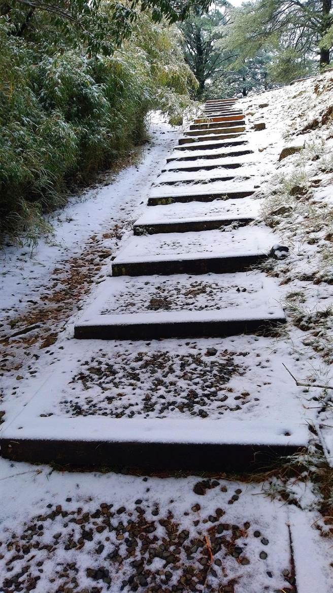 大雪山林道43k以上部分路段有結冰情形。（東勢林管處提供／王文吉台中傳真）