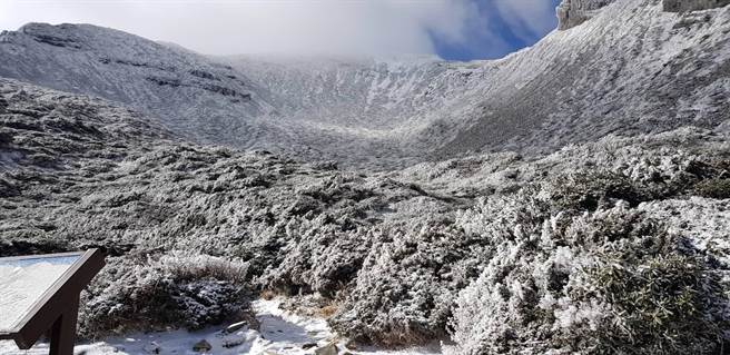 寒流一波接一波，雪山降雪不斷成銀白世界。（雪霸國家公園管理處提供／巫靜婷苗栗傳真）
