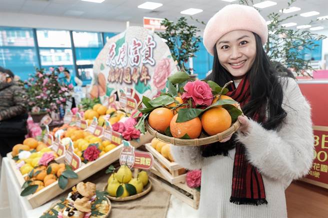 宝山乡桶柑进入採收，因减产量少品质好，价格比去年翻涨1倍。（罗浚滨摄）