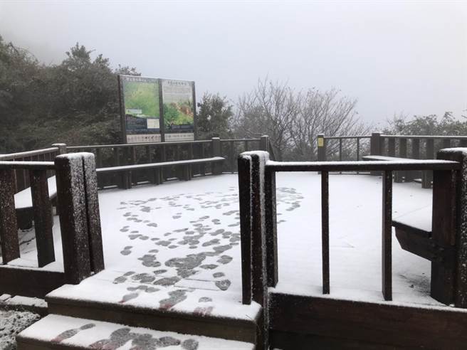 觀霧國家森林遊樂區樂山林道6K飄初雪（新竹林區管理處提供／巫靜婷苗栗傳真）