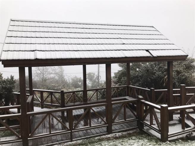 觀霧國家森林遊樂區樂山林道6K飄初雪（新竹林區管理處提供／巫靜婷苗栗傳真）