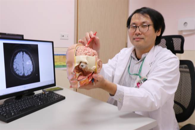 亚大医院神经内科主治医师邱新藻在人类脑部模型上指出患者血管堵塞位置。（林欣仪摄）