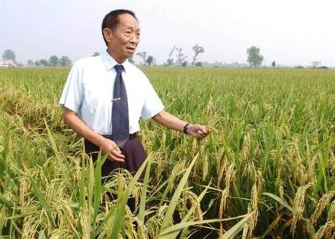 「杂交水稻之父」袁隆平。(图/东网)