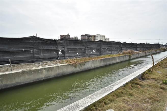 在永安养殖石斑鱼的苏国祯班长在鱼塭旁架设防风棚，避免石斑鱼受冻。（林瑞益摄）