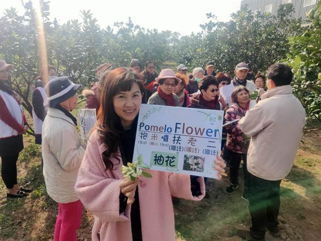 麻豆区农会配合农委会计画，成立安业、新生两个绿色照护站，让65岁以上长辈有重新学习的机会，12日安排到文旦园的行程，结合现地现况学习英文，相当有趣。（麻豆区农会提供／庄曜聪台南传真）