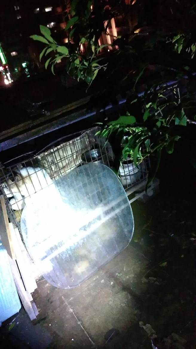 永和区秀朗路一处民宅其顶楼饲养1犬只，寒流期间没有任何防寒保暖防护措施，狗在笼内受冻哀号。（动保处提供）