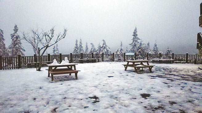 太平山國家森林遊樂區今天再降雪機率高，昨雖無降雪，但園區還能看見殘雪。（羅東林管處提供／李忠一宜蘭傳真）