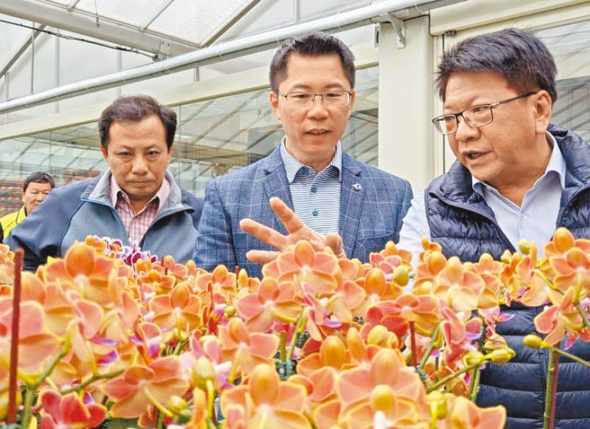 屏東氣候溫暖適合種植蘭花，是研發、育苗的重要基地，領航世界蘭花最新品種。縣長潘孟安（右）到潮州永宏蘭業看蘭花栽種狀況。（潘建志攝）