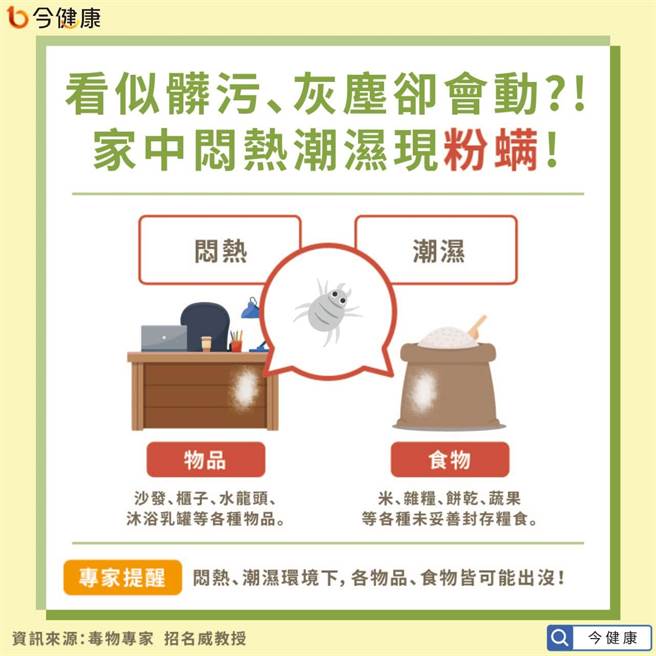 毒物专家招名威教授表示，家俱上这些会动的白点点，一般而言非常有可能是粉螨。(图/NOW健康提供)