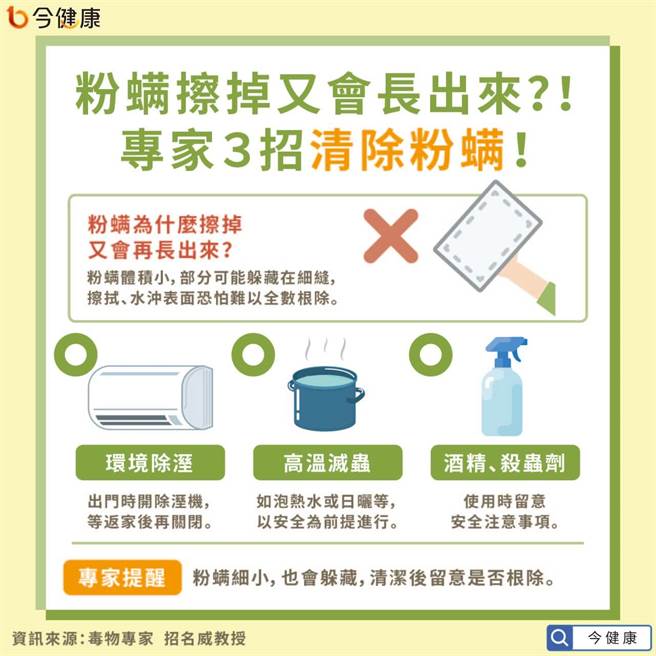 粉螨擦掉又会长出来？！专家３招清除粉螨！(图/NOW健康提供)