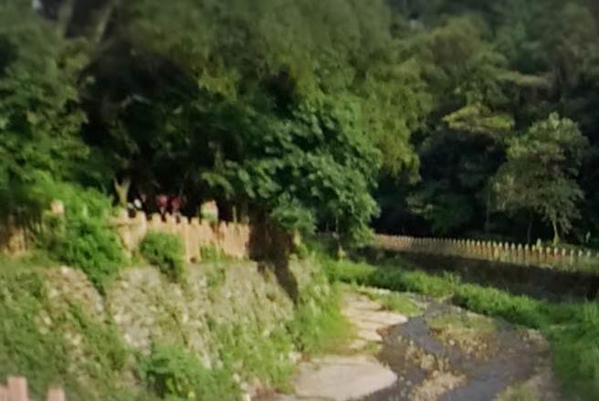 环保悲歌 日治时期唯一水源快变臭水沟。图／爱传媒提供