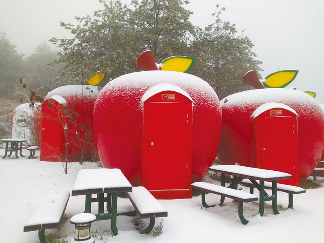 福壽山農場露營區再度降雪，蘋果屋宛如灑了糖霜，彷彿走進童話世界。（福壽山農場提供／王文吉台中傳真）
