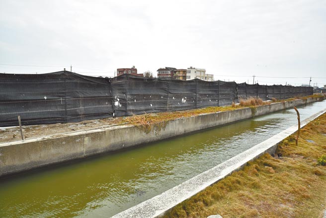 在永安养殖石斑鱼的苏国祯班长在鱼塭旁架设防风棚。（林瑞益摄）