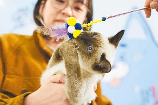 大陆宠物行业规模快速增长，预估2025年市场规模将倍增至2000亿。（新华社）