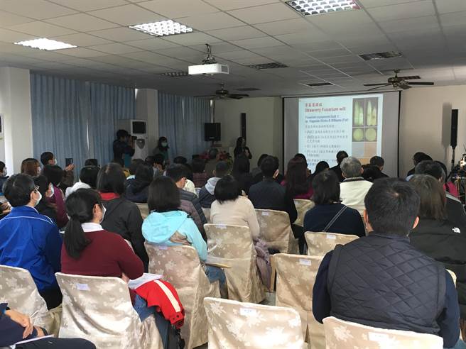 行政院农业委员会苗栗区农业改良场首度在草莓大湖产区，针对单一作物举办「2021年草莓研发成果与产业应用研讨会」。（巫静婷摄）