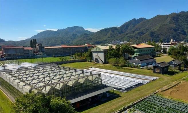 苗栗区农业改良场生物防治分场位于草莓主产区，执行各项草莓试验任务。（苗栗区农改场提供／巫静婷苗栗传真）