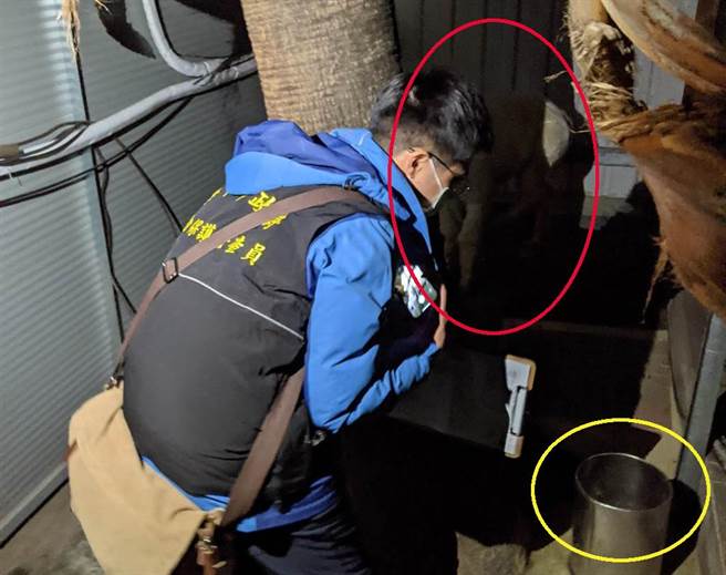 台中市动物保护防疫处17日凌晨稽查时，发现可怜羊驼（红圈处）竟在夜店外侧角落打瞌睡，户外10度以下低温，还刚好没有水喝（黄圈处）令人不舍，当场对业者开出劝导单。（卢金足摄）