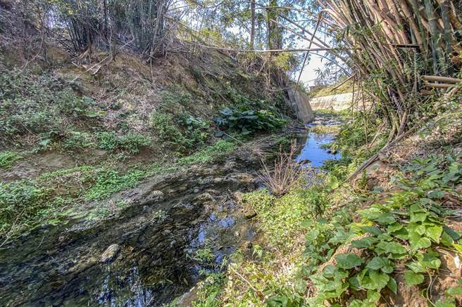 寶山鄉將辦理「水尾溝斷面11-12護岸改善應急工程」，營造安全與美麗的生態環境。（羅浚濱攝）