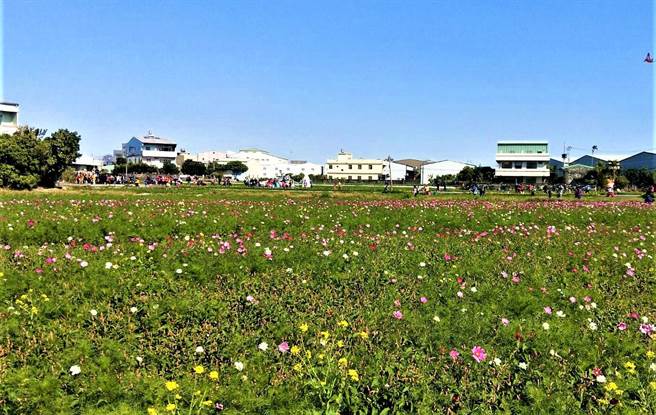 迈入第10年的台中市西屯区「2021广纳幸福花海季」17日开幕。（卢金足摄）