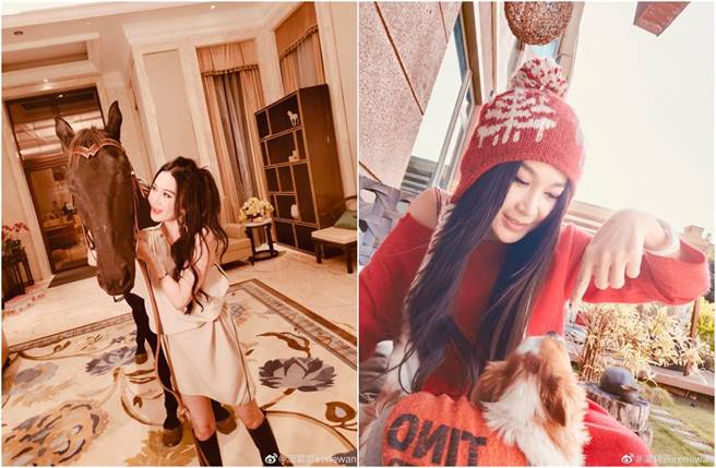 温碧霞日前在家中溜马，近日再晒海景花园。（图／翻摄自微博）