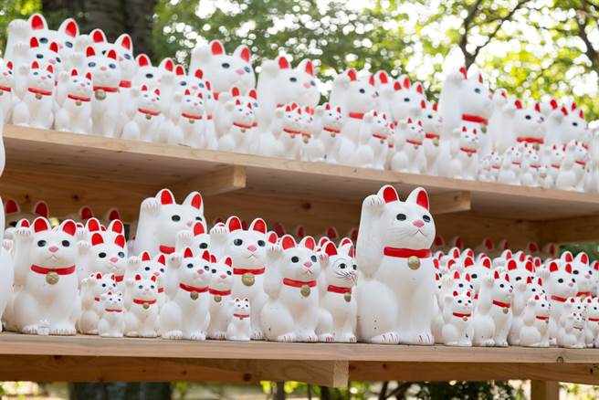 运势命理网站「旺好运」分享，各种款式的招财猫分别代表不同意义。（示意图／shutterstock）