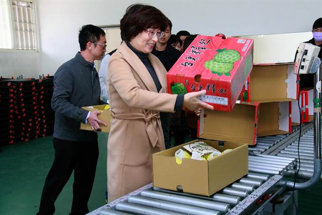 花莲县购买凤梨释迦破8000斤，首批2000斤18日出货，台东县长饶庆铃前往关心。（台东县政府提供／庄哲权台东传真 ）