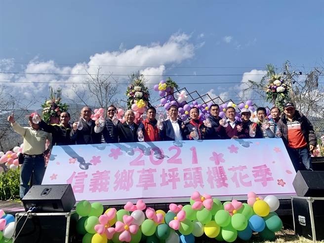 全国最早绽放的信义乡草坪头樱花季，将于23日登场。（廖志晃摄）