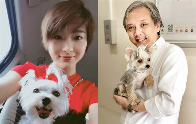 夏沫侨和陈嘉上传出密婚。（图／微博@夏沫侨、陈嘉上）