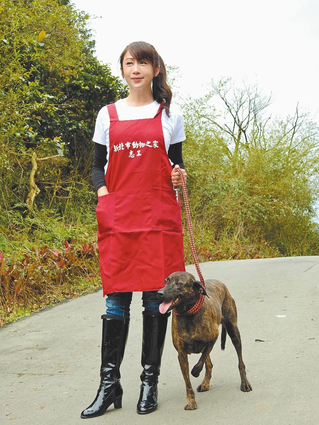 宠物保母正夯，台北市议员许淑华要求北市府建立管理机制促进产业发展。（台北市议员许淑华研究室提供／张立勋台北传真）