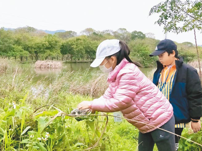 「鹿角溪人工溼地課程發展工作坊」由樹林國小教師胡秀芳（左）與一群熱血教師組成，每月第3個周日都會帶著學童到溼地進行生態觀察。（文︰蔡雯如  圖︰胡秀芳提供）