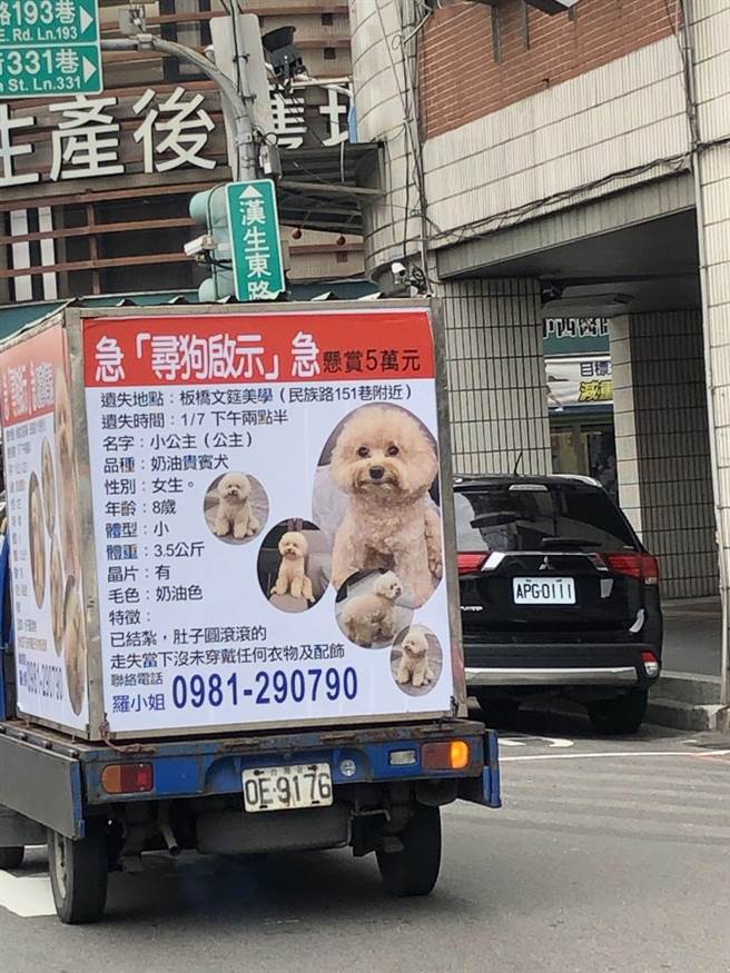 饲主罗小姐雇用广告车寻找爱犬「小公主」。（翻摄自脸书《我是板桥人》）