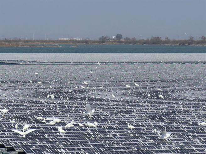 [問卦] 太陽能板的鳥屎要用什麼清洗？